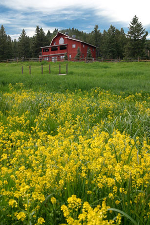 Red Barn Evergreen 2011 Conference - Bed & breakfasts & inns of Colorado Association