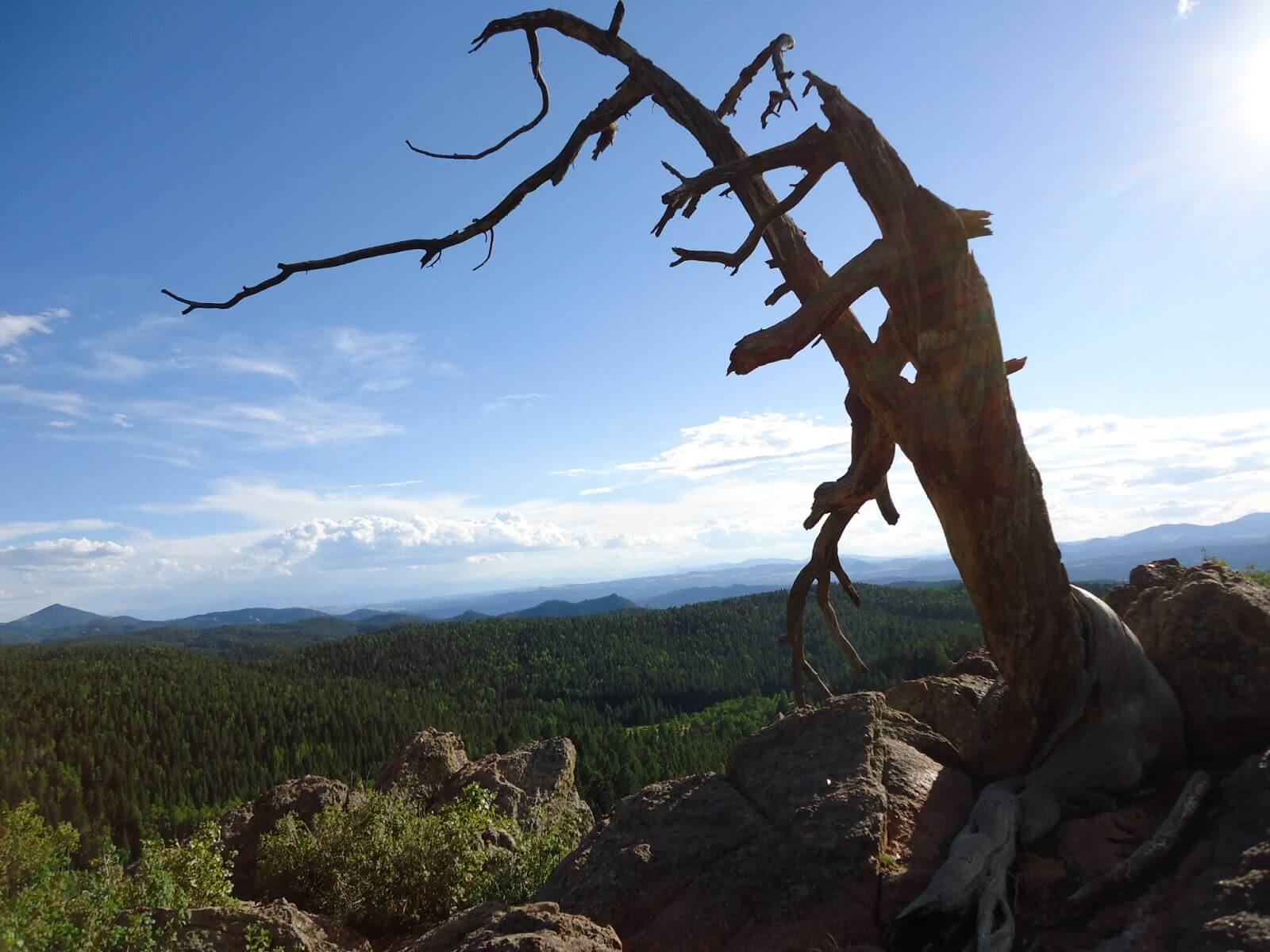 BBIC Mueller State Park - Bed & breakfasts & inns of Colorado Association