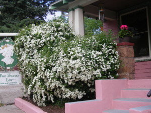 BBIC Two Sisters - Bed & breakfasts & inns of Colorado Association