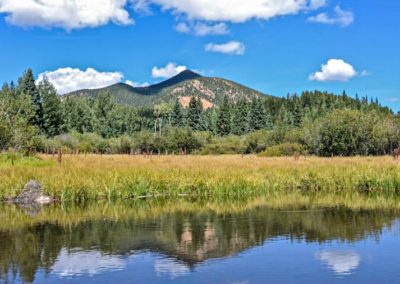 Temperate Broadleaf and Mixed Forests - Bed & breakfasts & inns of Colorado Association