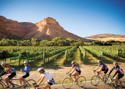 Cycling Through Vineyards - Bed & breakfasts & inns of Colorado Association