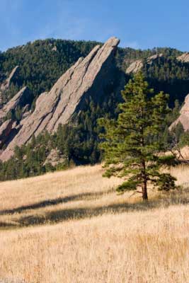 Fall Briar Rose Boulder Front Range - Bed & breakfasts & inns of Colorado Association