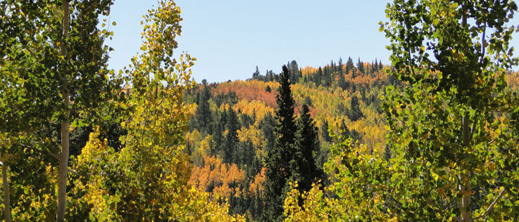 Fall Carr Manor Cripple Creek South Central - Bed & breakfasts & inns of Colorado Association
