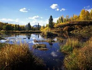 Fall Cedar Edge llamas Southwest - Bed & breakfasts & inns of Colorado Association