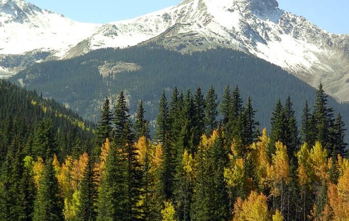 Fall Silver Queen BB Front Range - Bed & breakfasts & inns of Colorado Association