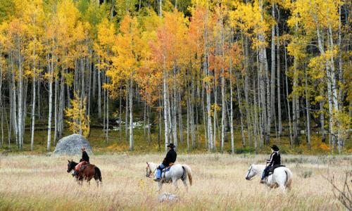 Horseback - Bed & breakfasts & inns of Colorado Association