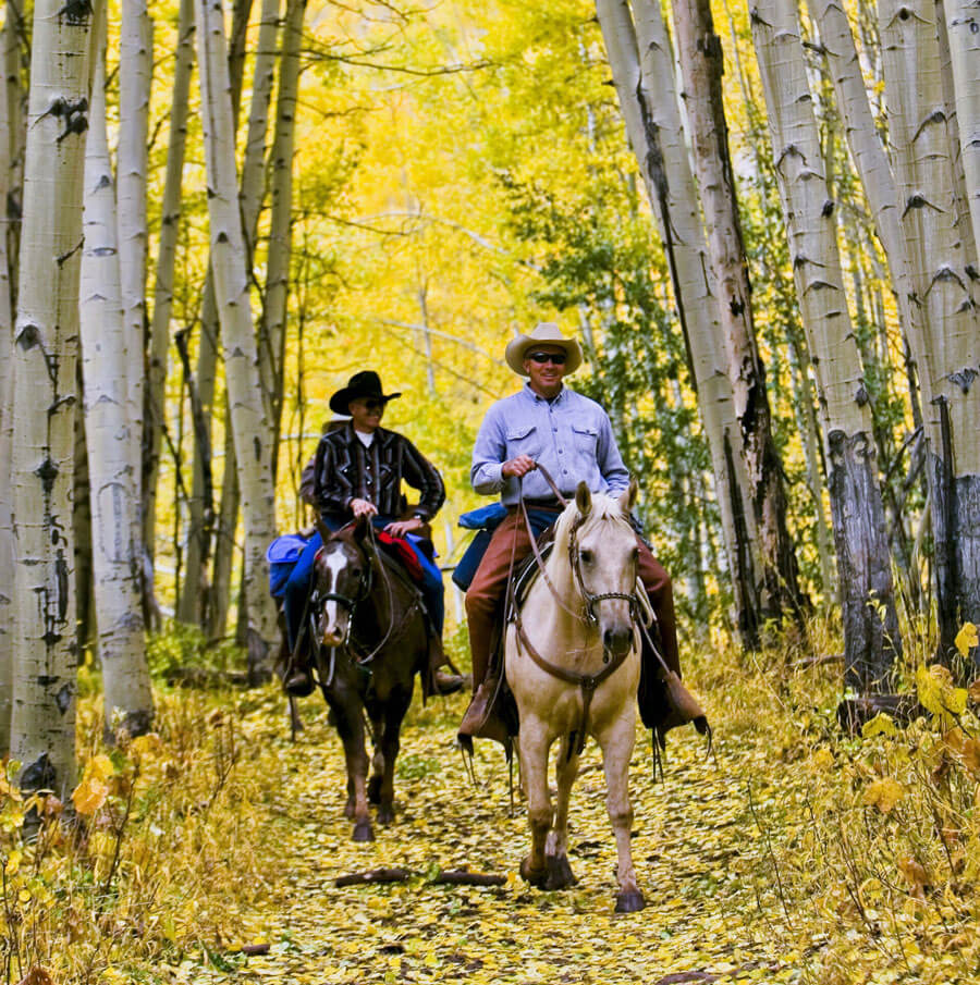 Scenic Beauty - Bed & breakfasts & inns of Colorado Association