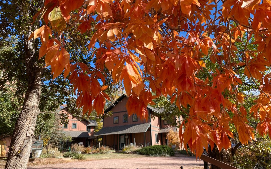 Blue Skies Inn Bed & Breakfast, Welcome Home Soldier Package offers appreciation to active duty military service members