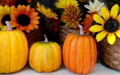 It’s Pumpkin Season and Perfect for Pumpkin Bread!
