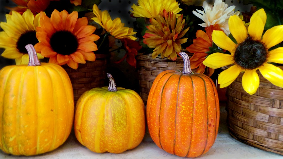 It’s Pumpkin Season and Perfect for Pumpkin Bread!